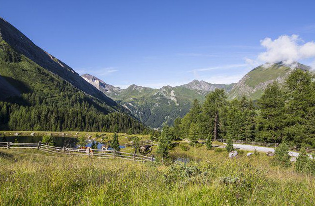 Ausblick in Tux-Finkenberg