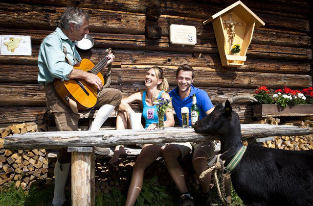 Almen in Tux-Finkenberg