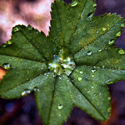 © Andreas Neurauter 2016