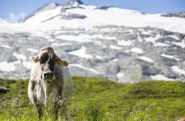 Naturpark Zillertaler Alpen