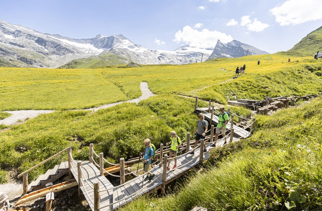 Wandern und Naturentdeckungen im Zillertal