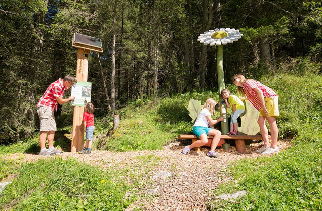 Entdecke die Tier- und Pflanzenwelt im Tuxertal