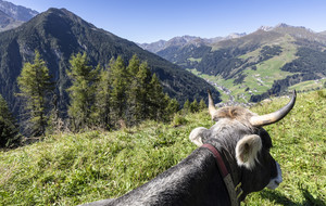 Ausblick Schrofenalm