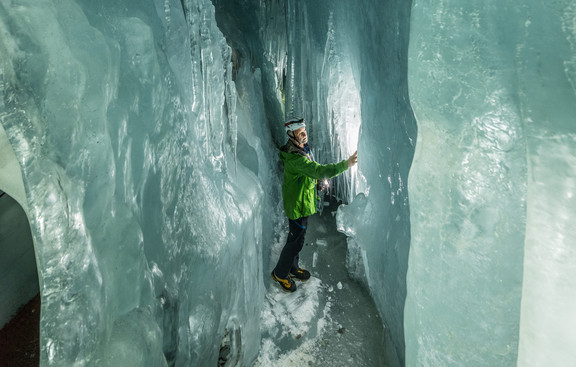 Wissenschaftliche Führung