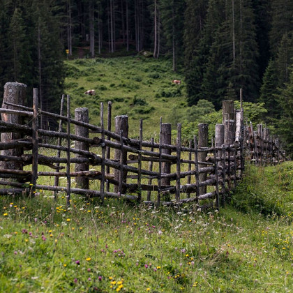 Holzzaun auf der Alm