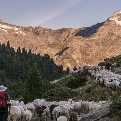 © Maren Krings 2016