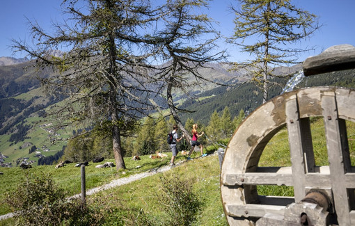 Active summer in Tuxertal