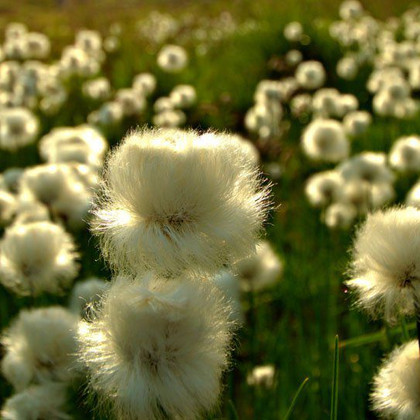 © Andreas Neurauter 2016