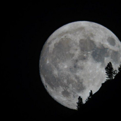 © Dominik Neuner 2016