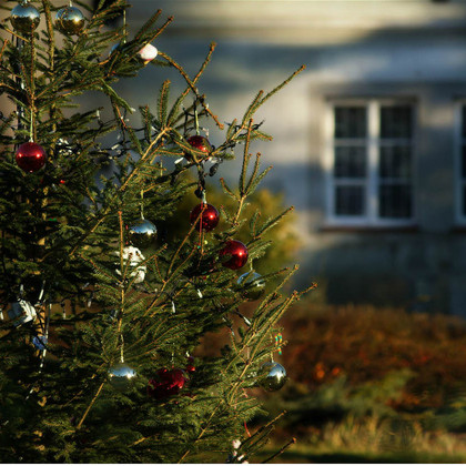 Weihnachten in den Bergen