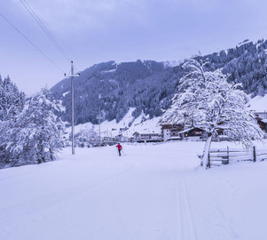 Tux - Luggi Gredler Loipe
